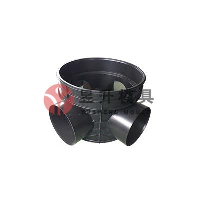 HDPE Other fitting mold 07
